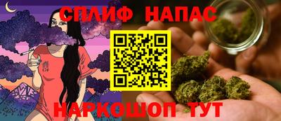 мдпв Моздок