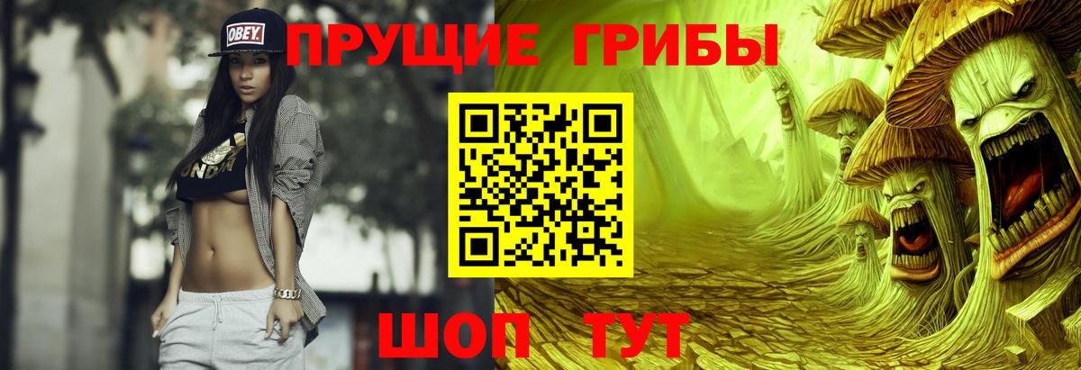 Псилоцибиновые грибы мицелий  Вход с VPN  Чернушка  Галлюциногенные грибы Psilocybe 